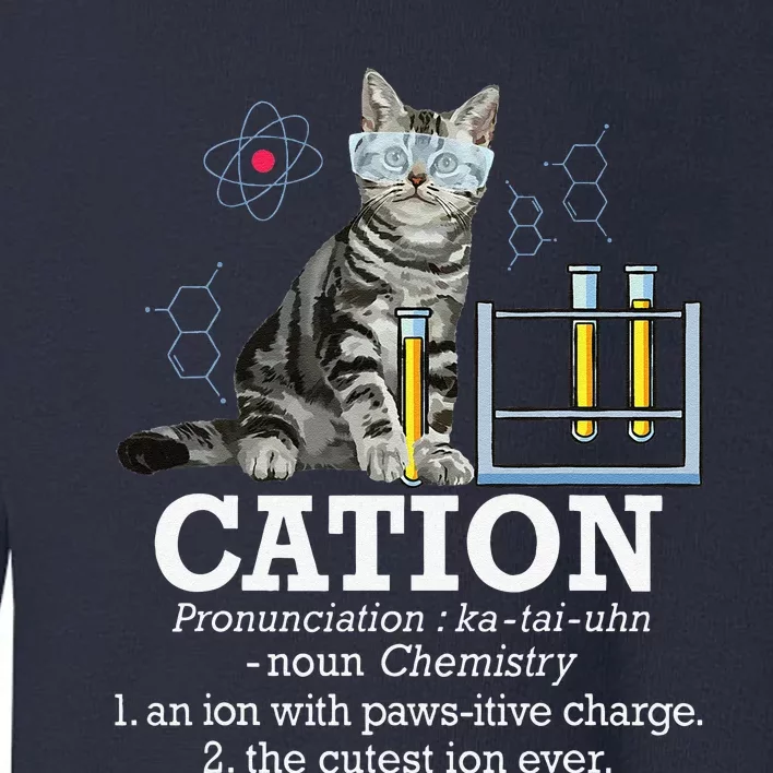 Cation Funny Chemistry Humor Science Teacher Cat Pun Toddler Sweatshirt