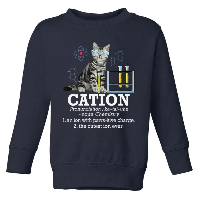 Cation Funny Chemistry Humor Science Teacher Cat Pun Toddler Sweatshirt