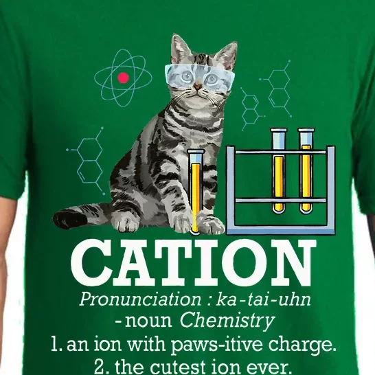 Cation Funny Chemistry Humor Science Teacher Cat Pun Pajama Set