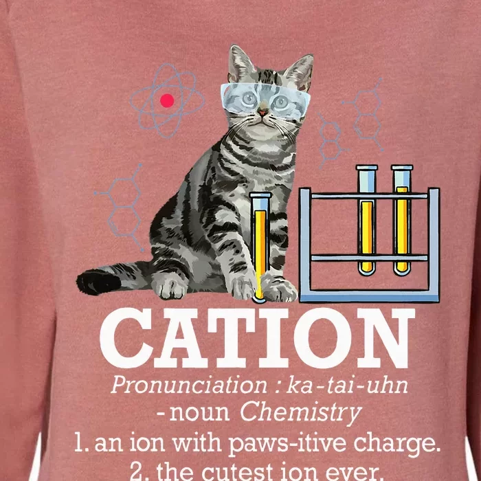 Cation Funny Chemistry Humor Science Teacher Cat Pun Womens California Wash Sweatshirt