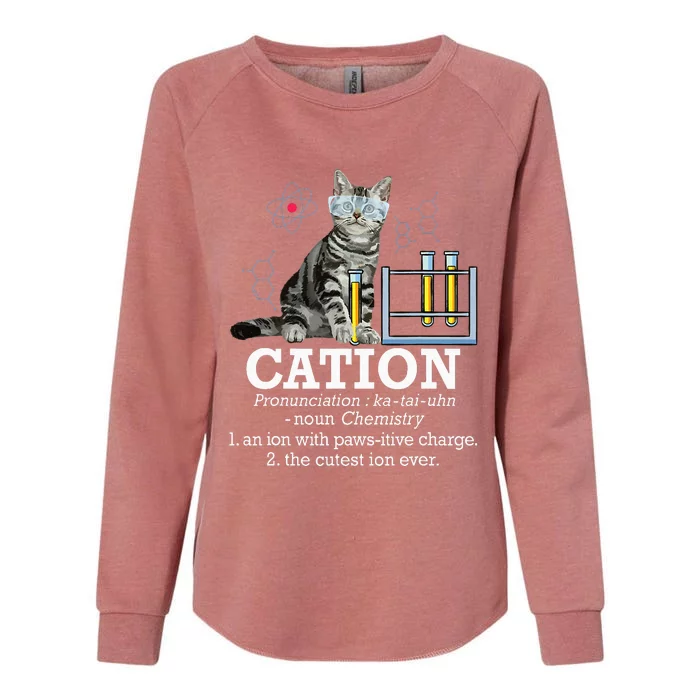 Cation Funny Chemistry Humor Science Teacher Cat Pun Womens California Wash Sweatshirt