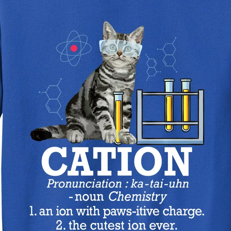 Cation Funny Chemistry Humor Science Teacher Cat Pun Tall Sweatshirt