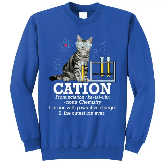 Cation Funny Chemistry Humor Science Teacher Cat Pun Tall Sweatshirt