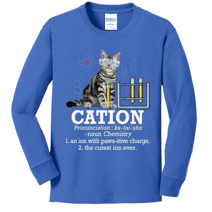 Cation Funny Chemistry Humor Science Teacher Cat Pun Kids Long Sleeve Shirt