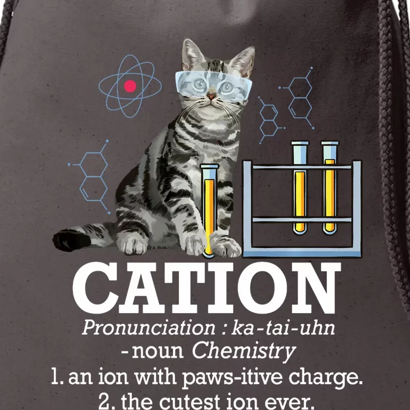 Cation Funny Chemistry Humor Science Teacher Cat Pun Drawstring Bag