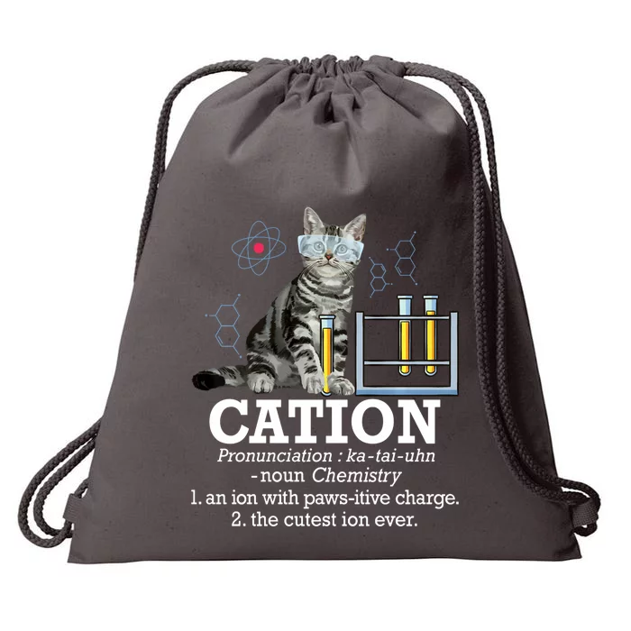 Cation Funny Chemistry Humor Science Teacher Cat Pun Drawstring Bag