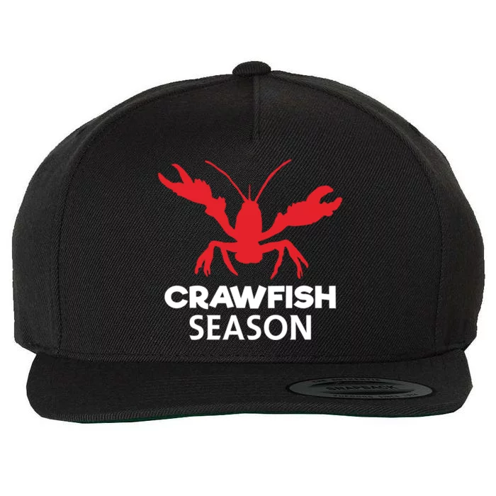 Crawdad Funny Crawfish Boil Season Crayfish Gift Wool Snapback Cap