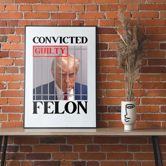 Convicted Felon Donald Trump Guilty Lock Him Up Trump Prison Poster