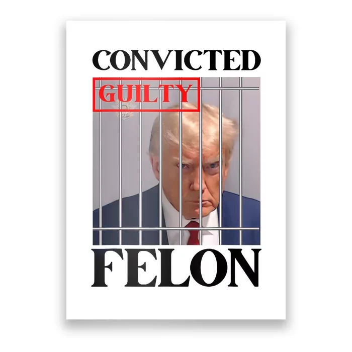 Convicted Felon Donald Trump Guilty Lock Him Up Trump Prison Poster