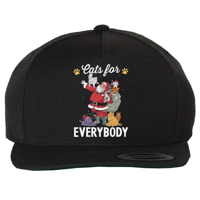 Cats For Everybody Christmas Cat Funny Xmas Santa Funny Wool Snapback Cap