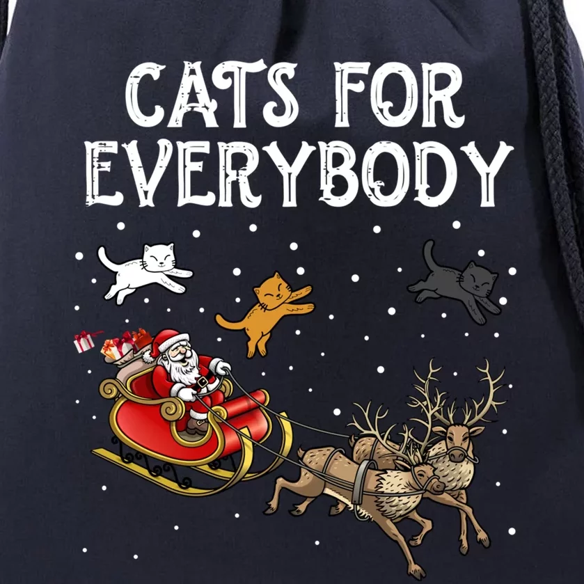 Cats For Everybody Christmas Cat Funny Xmas Santa Gift Drawstring Bag