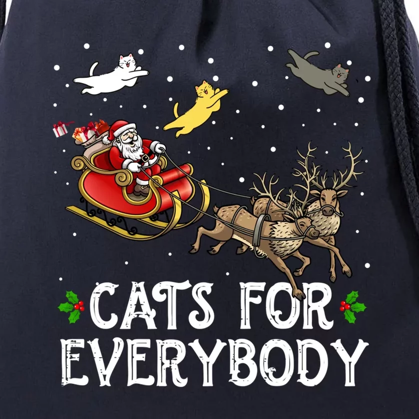 Cats For Everybody Christmas Cat Funny Xmas Santa Gift Drawstring Bag