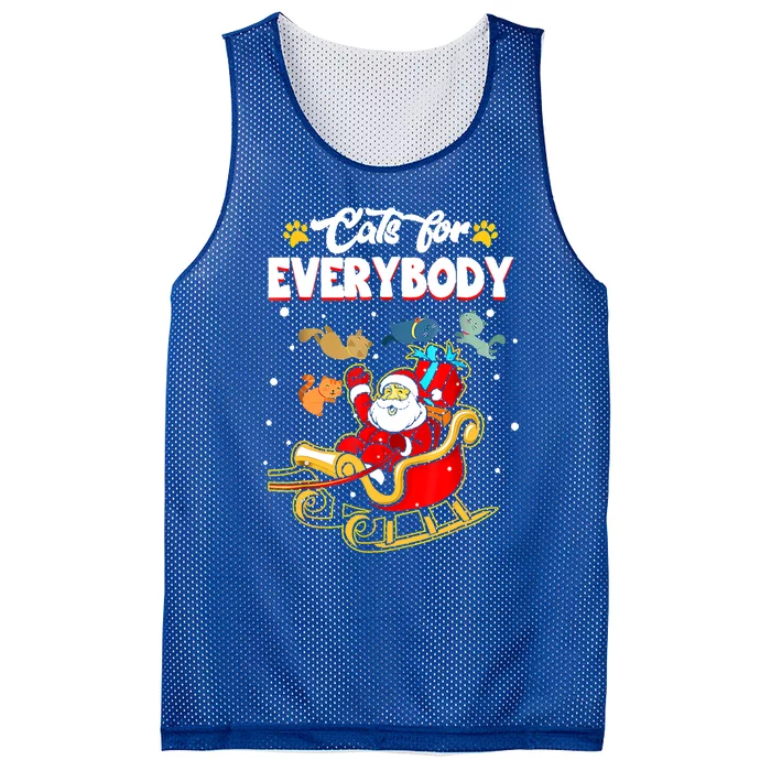 Cats For Everybody Funny Christmas Santa Cat Pet Lover Funny Gift Funny Gift Mesh Reversible Basketball Jersey Tank