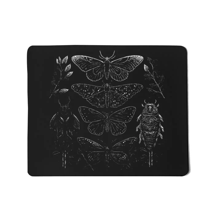 Cute Fairycore Floral Moth Aesthetic Mousepad