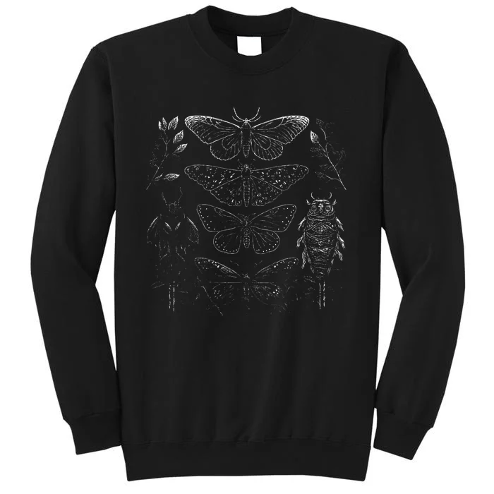 Cute Fairycore Floral Moth Aesthetic Tall Sweatshirt