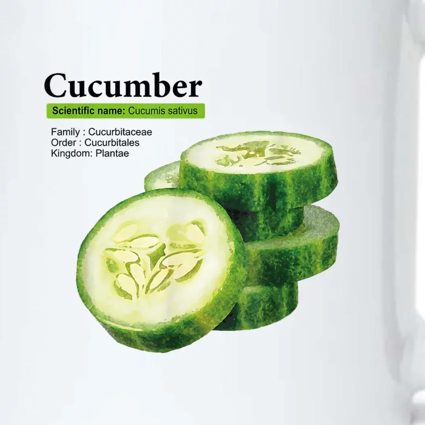 Cucumber Funny Graphic Vegetable Food Black Color Changing Mug