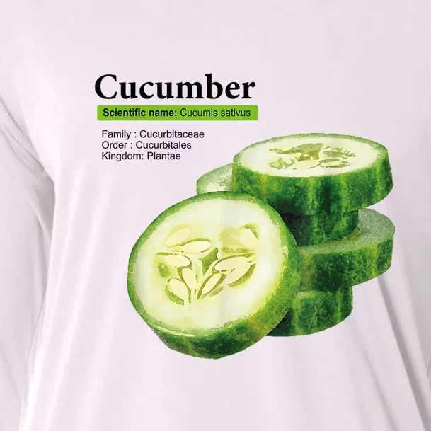 Cucumber Funny Graphic Vegetable Food Cooling Performance Long Sleeve Crew