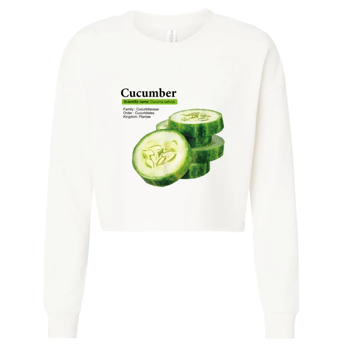 Cucumber Funny Graphic Vegetable Food Cropped Pullover Crew