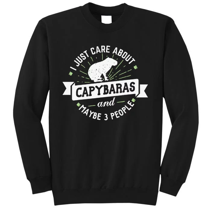 Capybaras funny I Just Care About Capybaras! Tall Sweatshirt