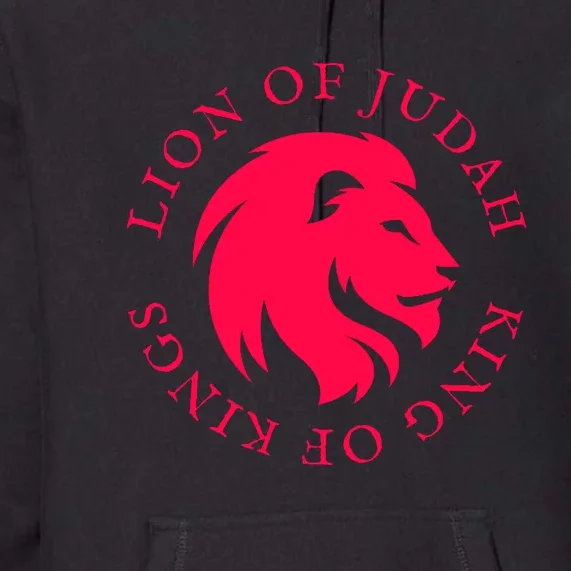 Christian Faith Lion Of Judah Gift Premium Hoodie