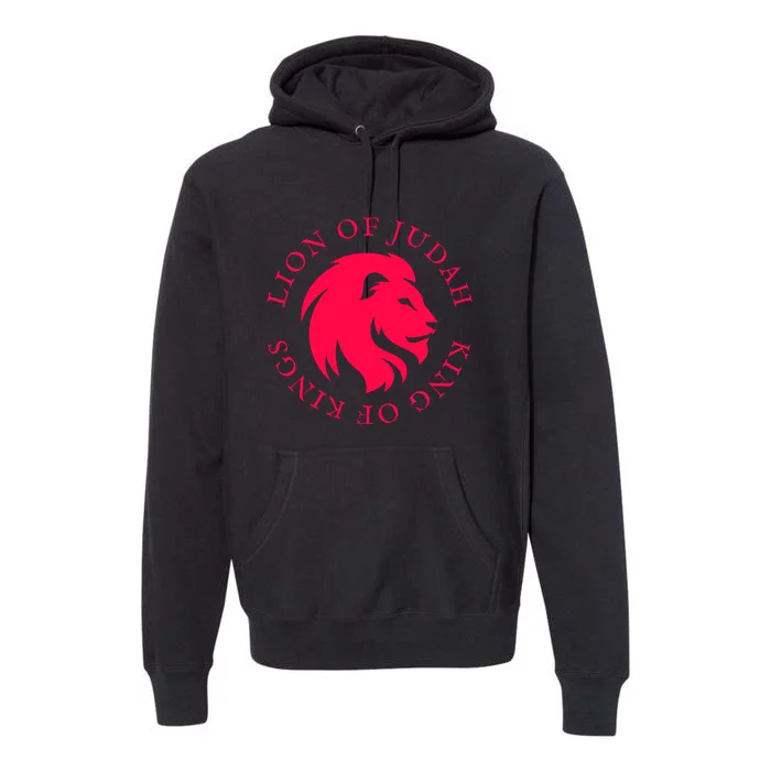 Christian Faith Lion Of Judah Gift Premium Hoodie