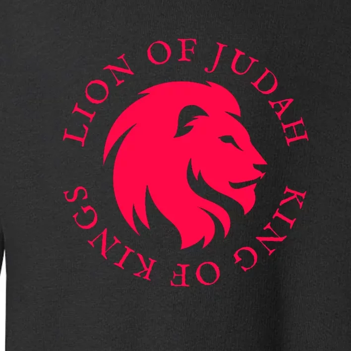 Christian Faith Lion Of Judah Gift Toddler Sweatshirt