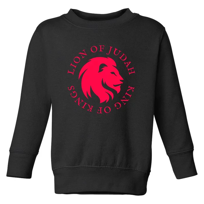 Christian Faith Lion Of Judah Gift Toddler Sweatshirt