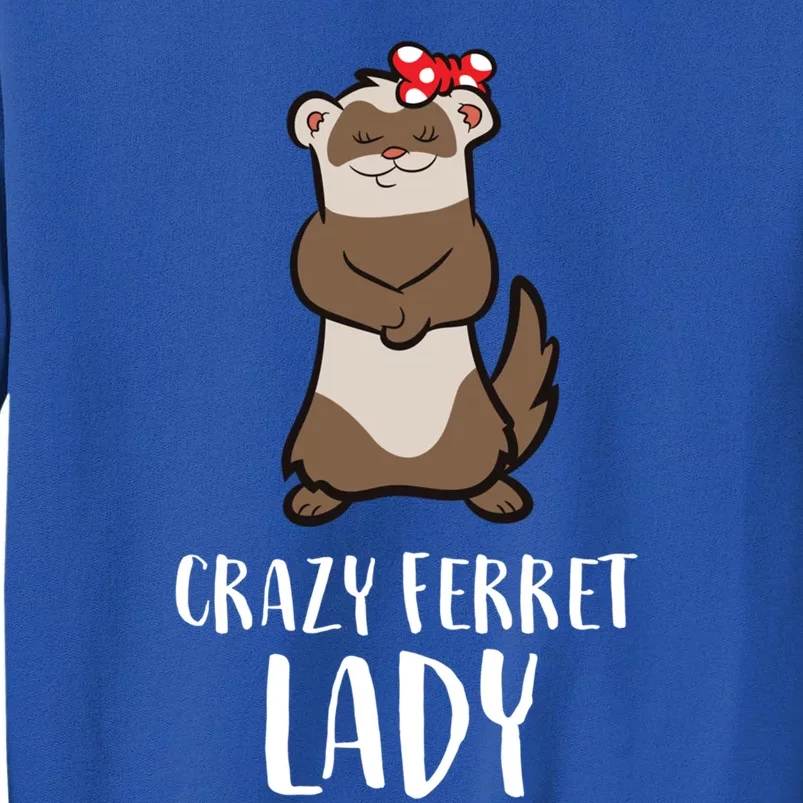 Crazy Ferret Lady Cute Ferret Mom Gift Sweatshirt