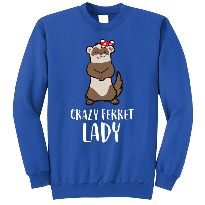 Crazy Ferret Lady Cute Ferret Mom Gift Sweatshirt