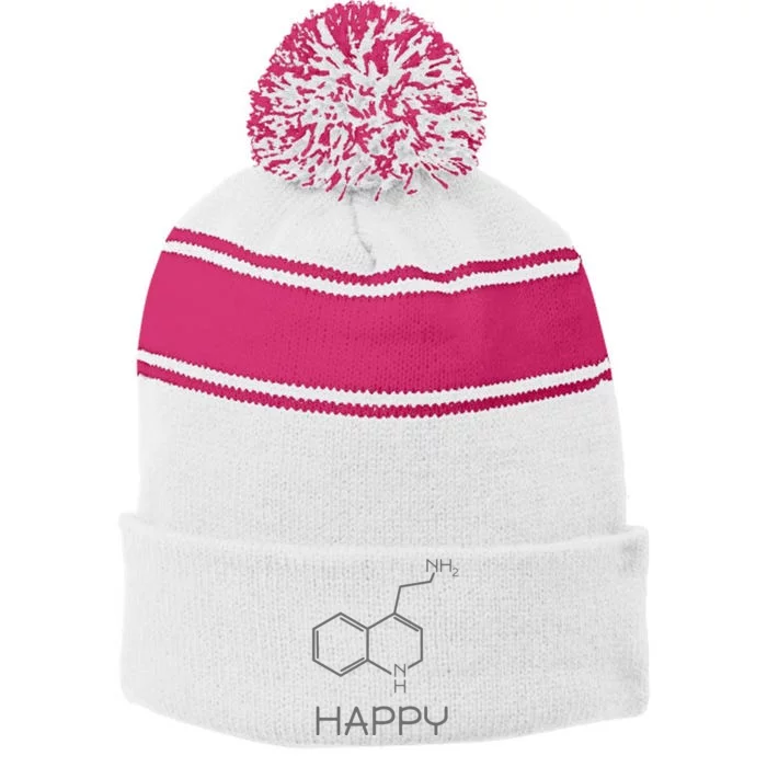 Chemist Funny Organic Chemistry Stripe Pom Pom Beanie