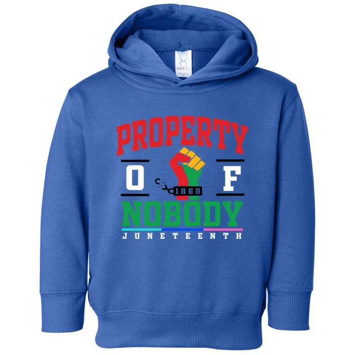 Classic Funny Property Of Nobody Freedom Melanin Junenth Gift Toddler Hoodie