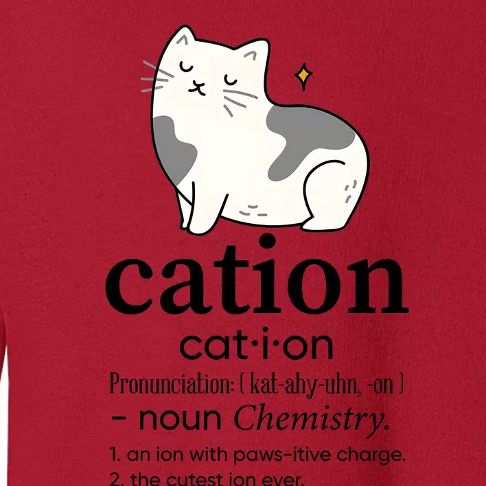 Cation Funny Pronoun Chemistry Cat Lover Pet Lover Toddler Sweatshirt