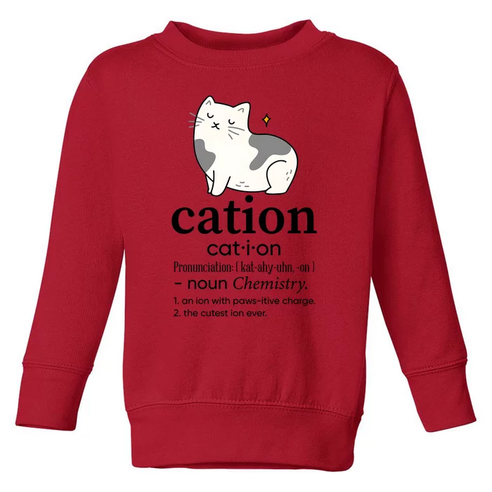 Cation Funny Pronoun Chemistry Cat Lover Pet Lover Toddler Sweatshirt