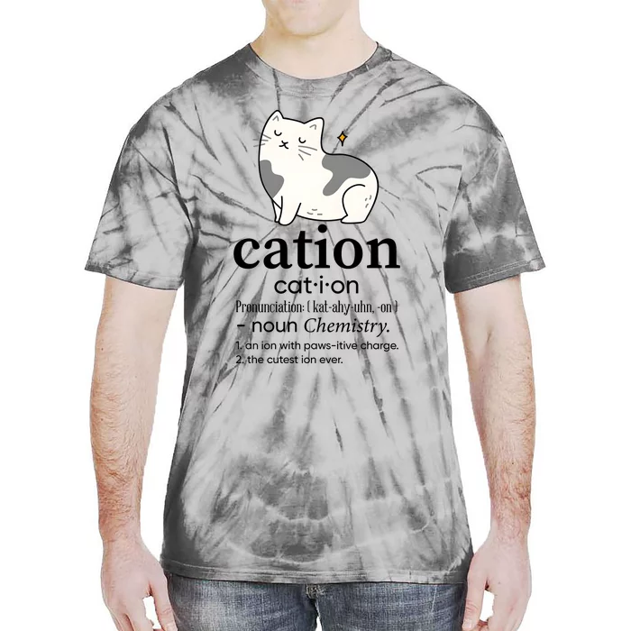 Cation Funny Pronoun Chemistry Cat Lover Pet Lover Tie-Dye T-Shirt