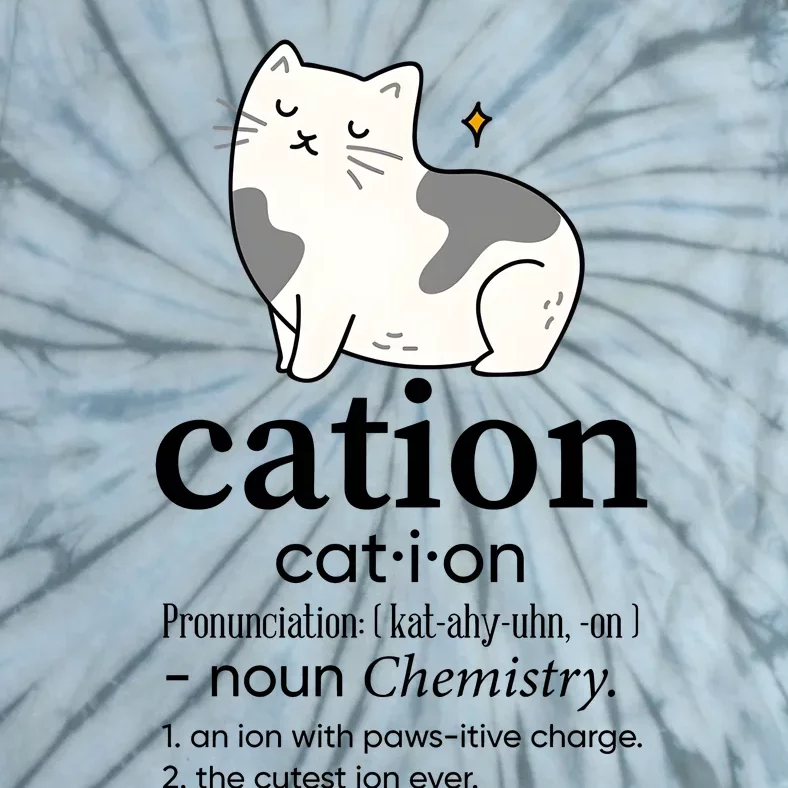 Cation Funny Pronoun Chemistry Cat Lover Pet Lover Tie-Dye T-Shirt