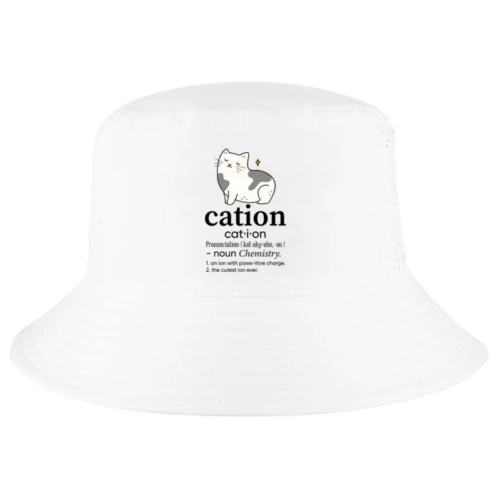 Cation Funny Pronoun Chemistry Cat Lover Pet Lover Cool Comfort Performance Bucket Hat