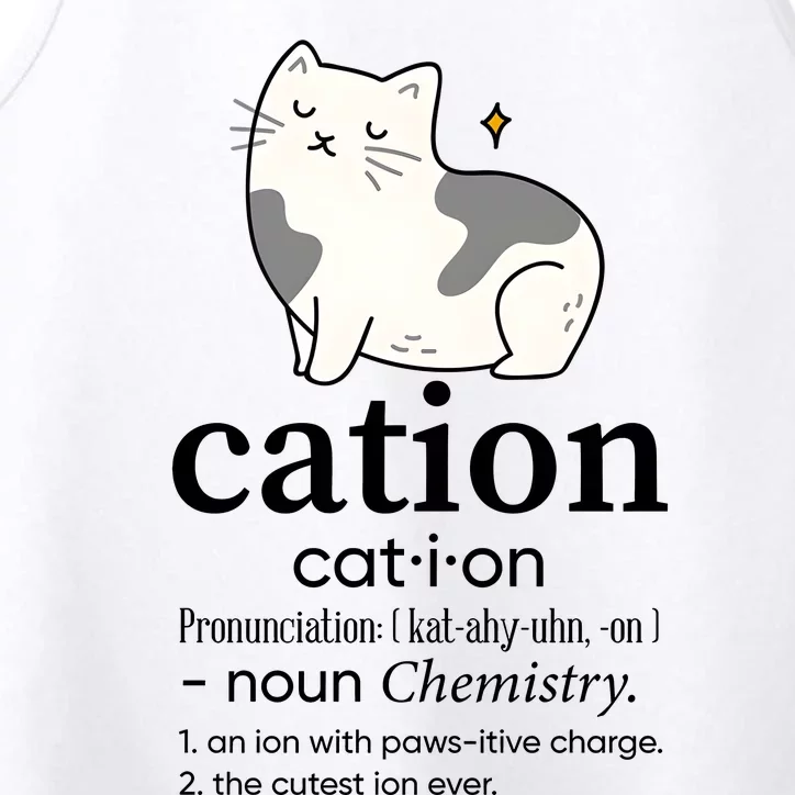 Cation Funny Pronoun Chemistry Cat Lover Pet Lover Performance Tank