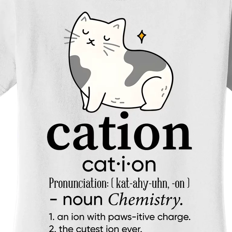 Cation Funny Pronoun Chemistry Cat Lover Pet Lover Women's T-Shirt