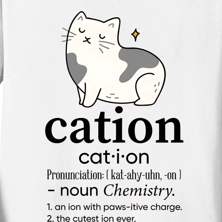 Cation Funny Pronoun Chemistry Cat Lover Pet Lover Kids Long Sleeve Shirt