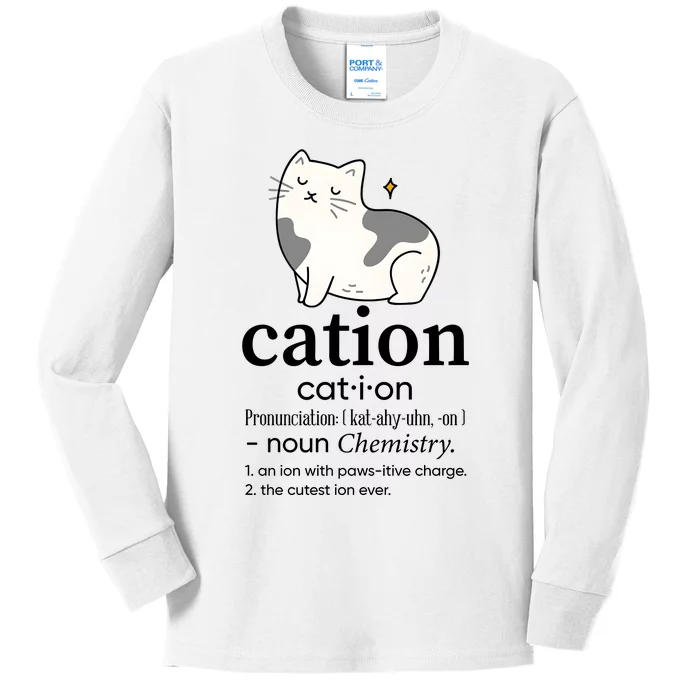 Cation Funny Pronoun Chemistry Cat Lover Pet Lover Kids Long Sleeve Shirt