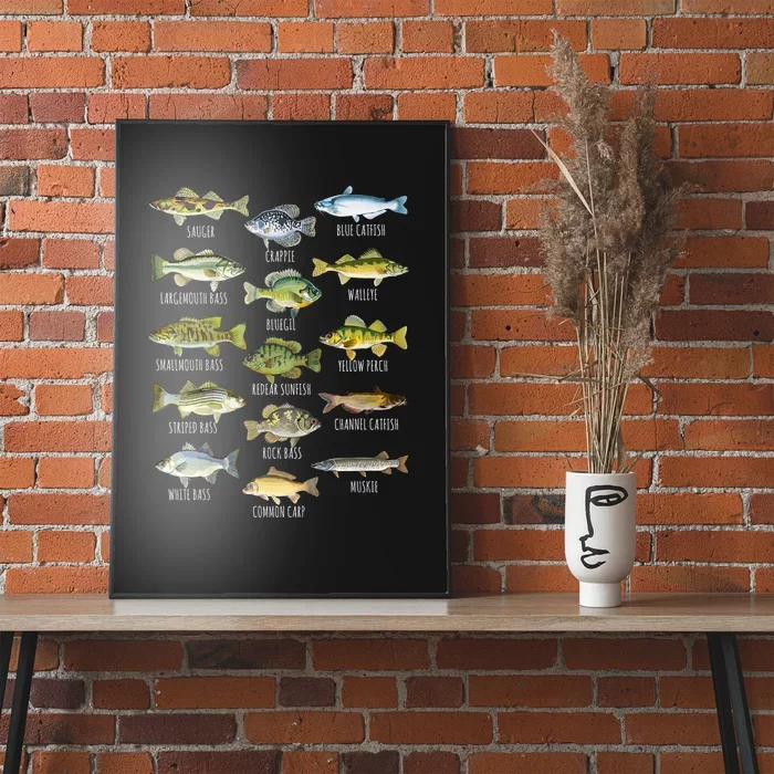 Cool Fish Species Biology Types Of Freshwater Fish Fishing Gift Poster