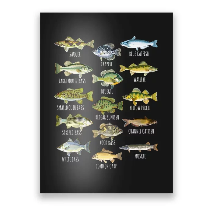 Cool Fish Species Biology Types Of Freshwater Fish Fishing Gift Poster