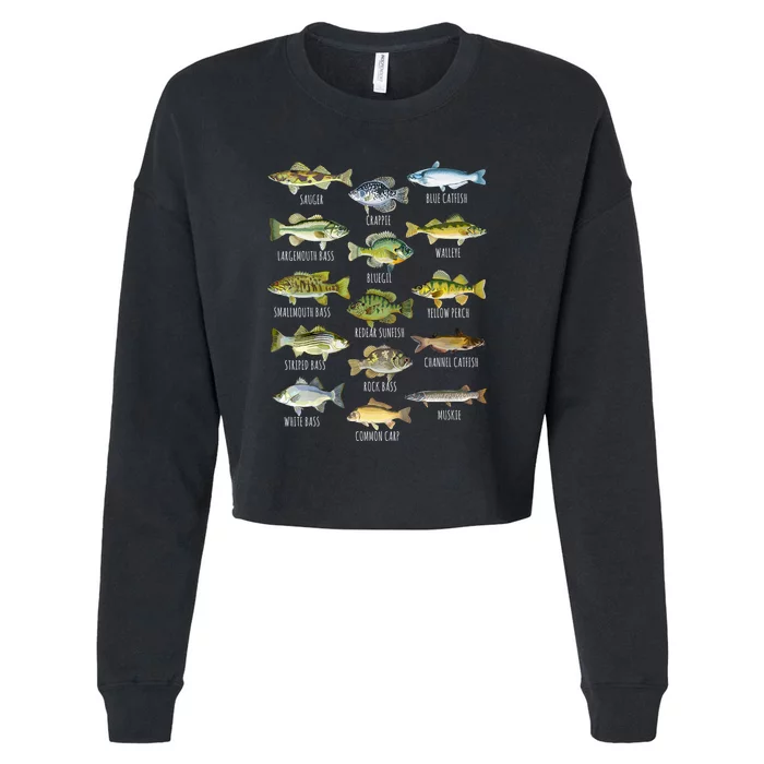 Cool Fish Species Biology Types Of Freshwater Fish Fishing Gift Cropped Pullover Crew