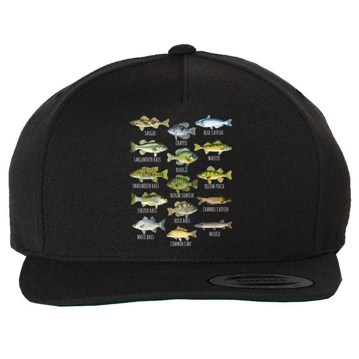 Cool Fish Species Biology Types Of Freshwater Fish Fishing Gift Wool Snapback Cap