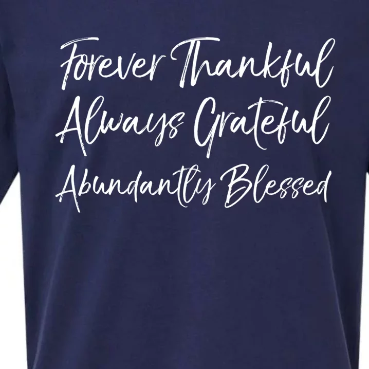 Cute Forever Thankful Always Grateful Abundantly Blessed Gift Sueded Cloud Jersey T-Shirt