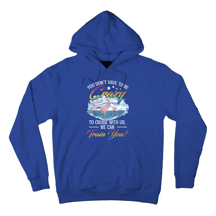 Cruising Friends Trip Cruise Boat Ship Family Jokes Cool Gift Hoodie