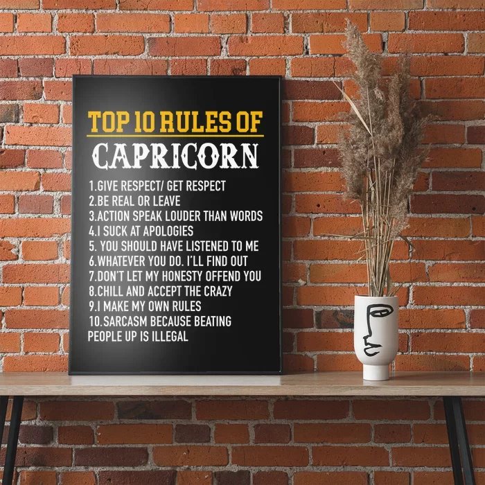 Capricorn Facts Zodiac Funny Capricorn Birthday Gift Poster