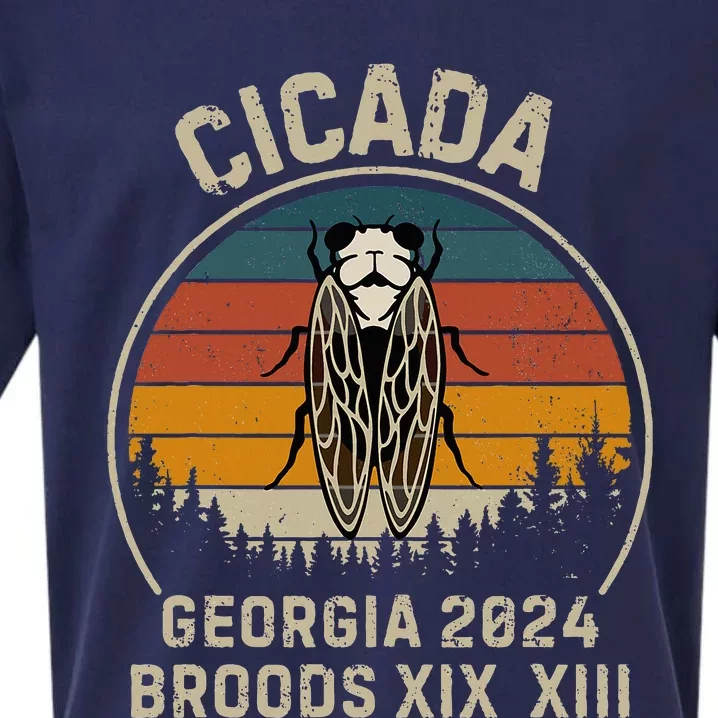 Cicada Georgia 2024 Invasion Brood Xiii And Brood Xix Sueded Cloud Jersey T-Shirt