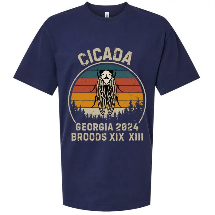 Cicada Georgia 2024 Invasion Brood Xiii And Brood Xix Sueded Cloud Jersey T-Shirt