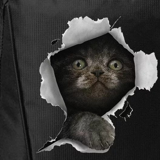 Cat Gray Cat Cat Torn Cloth Kitten City Backpack